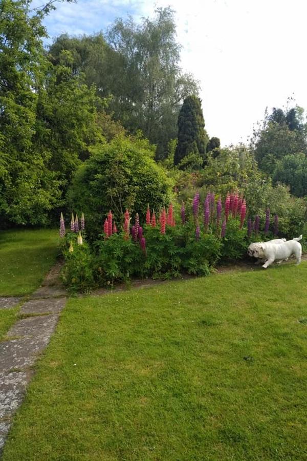 Bed and Breakfast Twenty Skellingthorpe Esterno foto