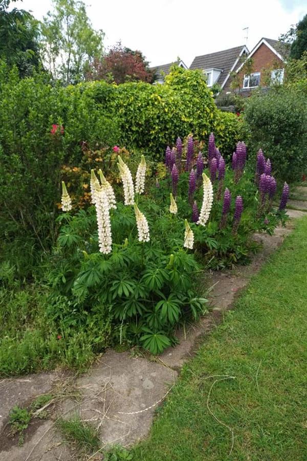 Bed and Breakfast Twenty Skellingthorpe Esterno foto