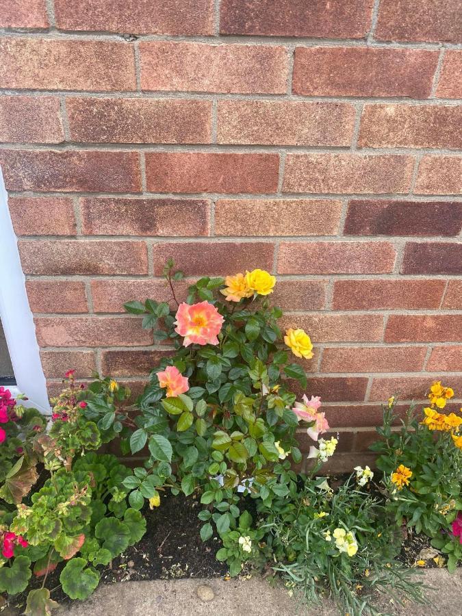 Bed and Breakfast Twenty Skellingthorpe Esterno foto